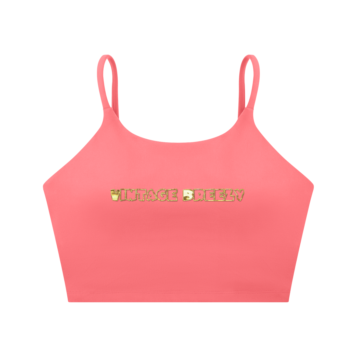 Vintage Breezy Sports Bra